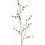 Stirlingia latifolia artificiale COLLAN, nero-bianco, 75cm, Ø1cm