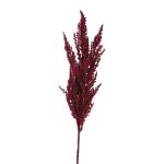 Ramo artificiale di erba di pampa THEMBA, bordeaux, 80cm