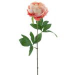 Peonia artificiale TALFY, rosa-crema, 65 cm
