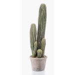 Cactus artificiale San Pedro DACON in vaso decorativo, verde, 55cm