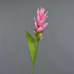 Curcuma finta LAROUCO, rosa, 80cm