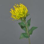 Protea finta HERVAS, giallo, 70cm