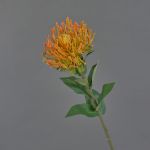 Protea finta HERVAS, arancione, 70cm