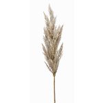 Ramo artificiale di erba della Pampa BATERNO, crema, 90cm