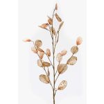Ramo artificiale di lunaria BUELNA, marrone chiaro, 105cm