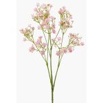 Gypsophila finta LITAGO, rosa, 70cm