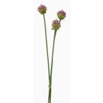Mazzo di fiori artificiali di allium LAMDA, viola-verde, 65cm