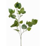 Ramo artificiale di Ficus religiosa ASCELLA con frutti, verde, 95cm