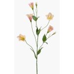 Lisianthus artificiale PAZAN, rosa-crema, 70cm