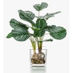 Calathea Orbifolia artificiale AGINA in vaso di vetro, verde-bianco, 45cm