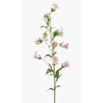 Campanula decorativa AIMI, rosa-crema, 90cm
