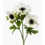 Anemone artificiale RUBINA, bianco, 55cm
