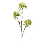 Ramo artificiale allium GLORF, verde-bianco, 60 cm