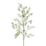 Ramo decorativo di pepe DROKLI, verde, 90 cm