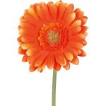 Fiore artificiale Gerbera TUNZA, arancione, 50cm