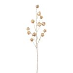 Ramo artificiale Physalis FRILTE con frutti, champagne metallizzato, 90 cm