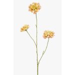 Ramo decorativo Scabiosa DIHALLY, giallo-pesca, 80 cm