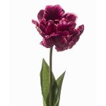 Tulipano artificiale LIOMARA, viola scuro, 65 cm
