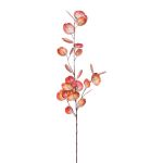 Ramo decorativo di eucalipto VORTAN, corallo, 85cm