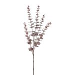 Ramo decorativo eucalipto TRELVO, rosso bordeaux, 75cm