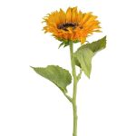 Girasole artificiale ZOMFREN, giallo, 50 cm