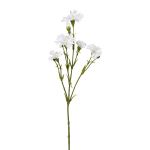 Ramo artificiale fiordaliso FRAVLE, bianco, 60cm