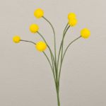 Craspedia Globosa artificiale STEPHANOS, giallo, 60cm, Ø2,5-3cm