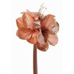 Amaryllis di velluto KIRSTY, salmone, 70cm, Ø13-15cm