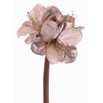 Amaryllis di velluto KIRSTY, lilla chiaro, 70cm, Ø13-15cm