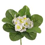 Primula artificiale SUNDARA su stelo, bianco, 20cm, Ø4cm