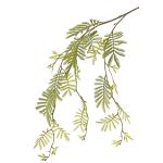 Ramo di mimosa artificiale ELPIDA, verde, 110cm