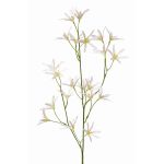 Tweedia solanoides artificiale PALLAS, bianco, 75cm, Ø5cm