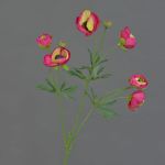 Ranuncolo finto YARIS, rosa-verde, 65cm, Ø3-4,5cm