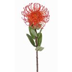 Protea artificiale BAILY, arancione, 50cm, Ø12cm