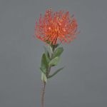 Protea artificiale BAILY, arancione, 50cm, Ø12cm