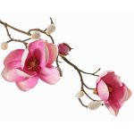 Magnolia artificiale KOSTAS, rosa-fucsia, 55cm, Ø6-8cm