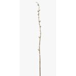 Ramo di salice decorativo DAFINO con fiori, bianco, 105cm