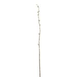 Ramo di salice decorativo DAFINO con fiori, bianco, 105cm
