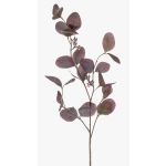 Ramo di eucalipto finto MAXEN con frutti, viola-grigio, 75cm