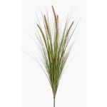 Erba di pennisetum artificiale YWAIN, pannocchie, stelo, beige-verde, 70cm