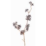 Ramo di eucalipto artificiale SOHA con frutti, marrone scuro, 60cm