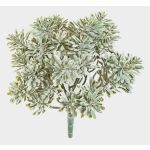 Crossostephium finto ALGOL, su stelo, zona trasversale, grigio-verde, 20cm