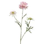 Scabiosa artificiale MARUA, rosa, 80cm