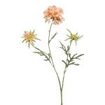 Scabiosa artificiale MARUA, pesca, 80cm