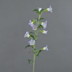 Campanula artificiale DAIKI, lilla-bianco, 90cm