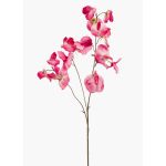 Lathyrus artificiale KANZI, rosa, 75cm