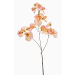 Lathyrus artificiale KANZI, pesca, 75cm