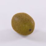 Kiwi di plastica SURATA, marrone, 6cm