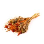 Bouquet di spighe secche COVENTINA, arancio-natura, 65cm, Ø23cm
