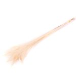 Piume di pavone NOYANA in mazzo, 5 pezzi, sbiancate, 65-85 cm